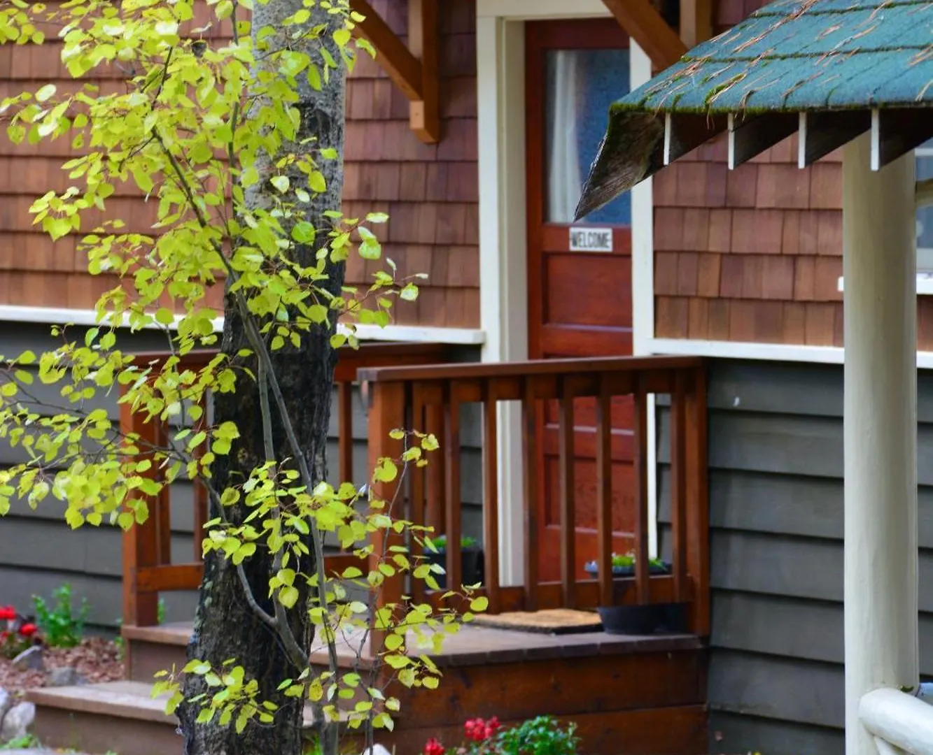 Domek alpejski Johnston Canyon Lodge & Bungalows Castle Junction Kanada